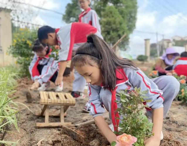 研发学科美育典型讲堂范式破解怎么教在师资与教研维度